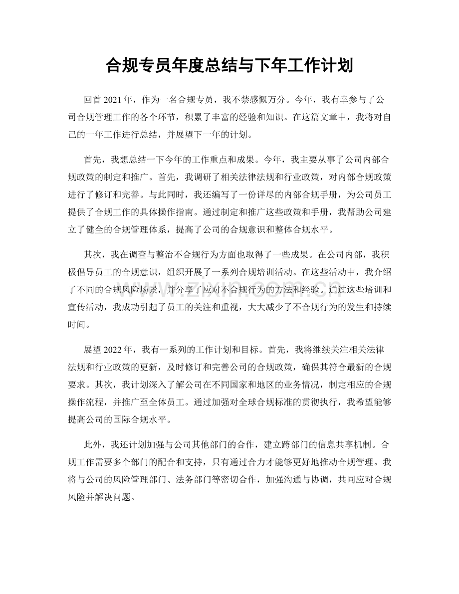 合规专员年度总结与下年工作计划.docx_第1页