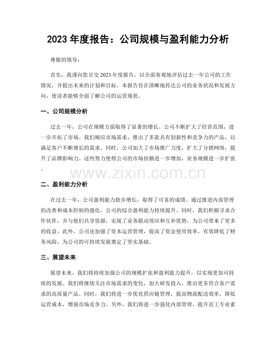 2023年度报告：公司规模与盈利能力分析.docx_第1页