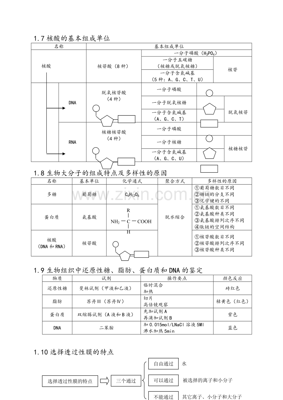 高考生物知识点总结(全).doc_第3页