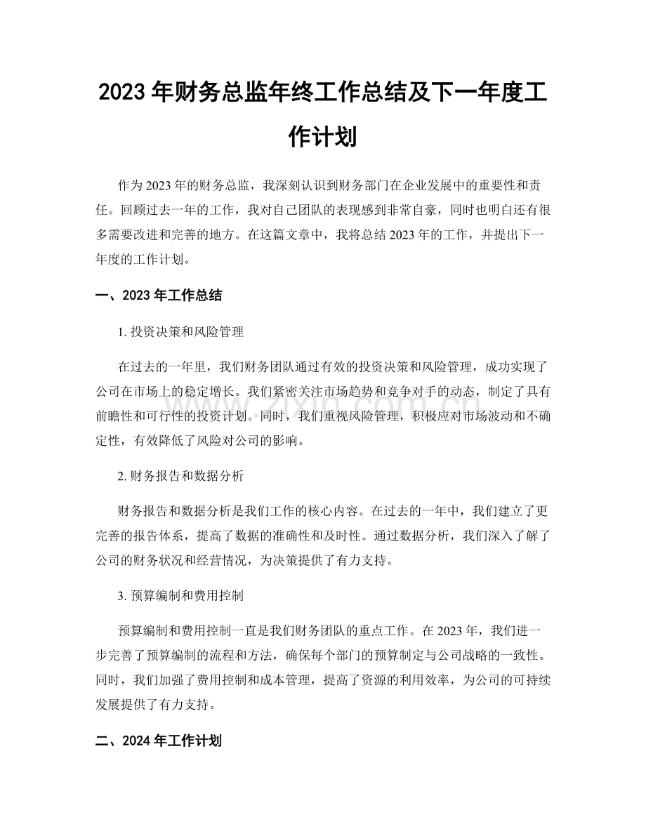 2023年财务总监年终工作总结及下一年度工作计划.docx_第1页