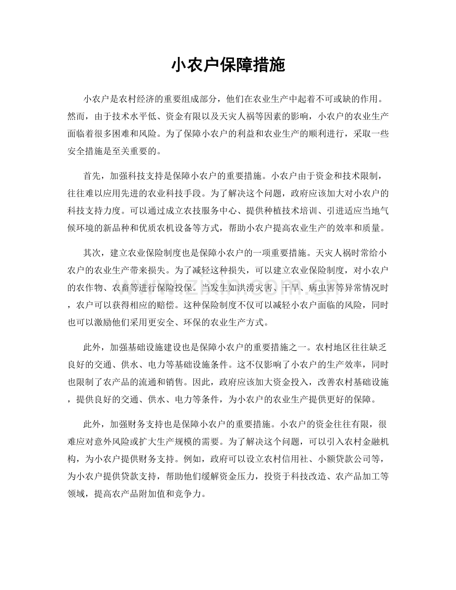 小农户保障措施.docx_第1页