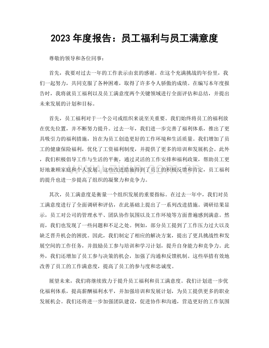 2023年度报告：员工福利与员工满意度.docx_第1页