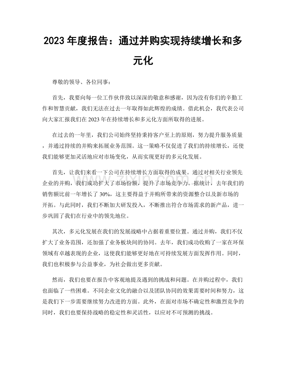 2023年度报告：通过并购实现持续增长和多元化.docx_第1页