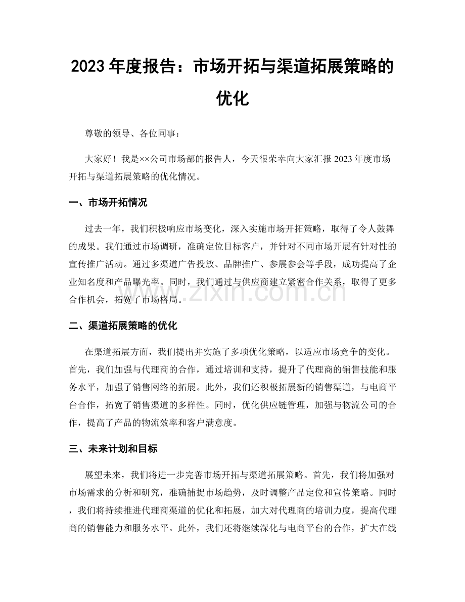 2023年度报告：市场开拓与渠道拓展策略的优化.docx_第1页