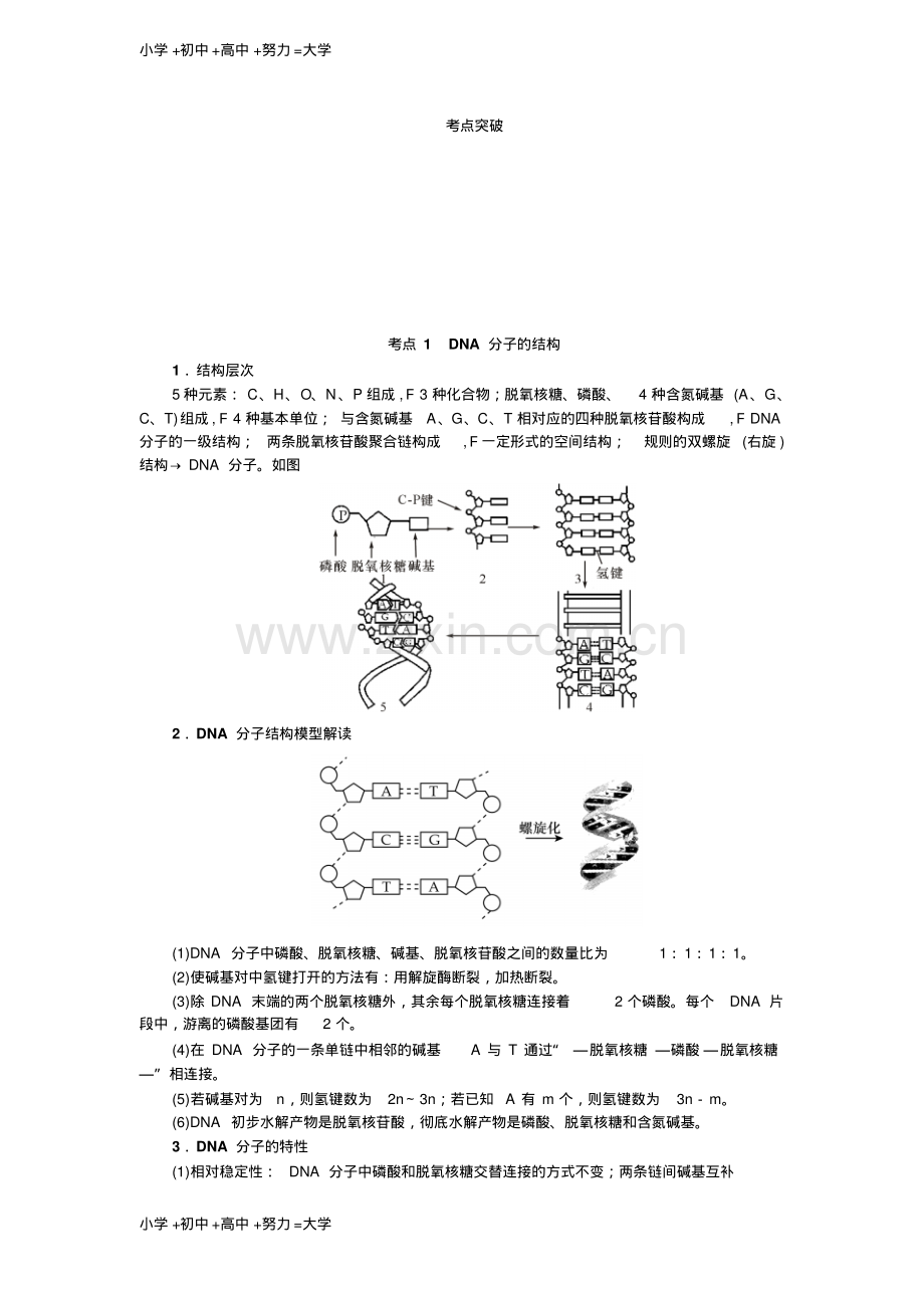 高考生物(苏)一轮总复习教师用书：第6单元第2讲DNA分子的结构和复制.pdf_第3页