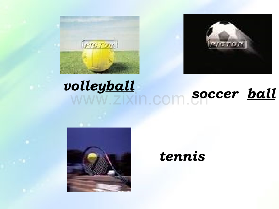 人教版初一七年级上册英语《-Unit5-Do-you-have-a-soccer-ball.ppt_第2页