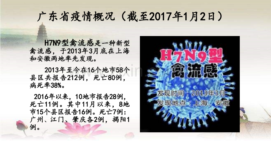 人感染H7N9禽流感诊疗演讲方案(2017年第一版)ppt.ppt_第3页