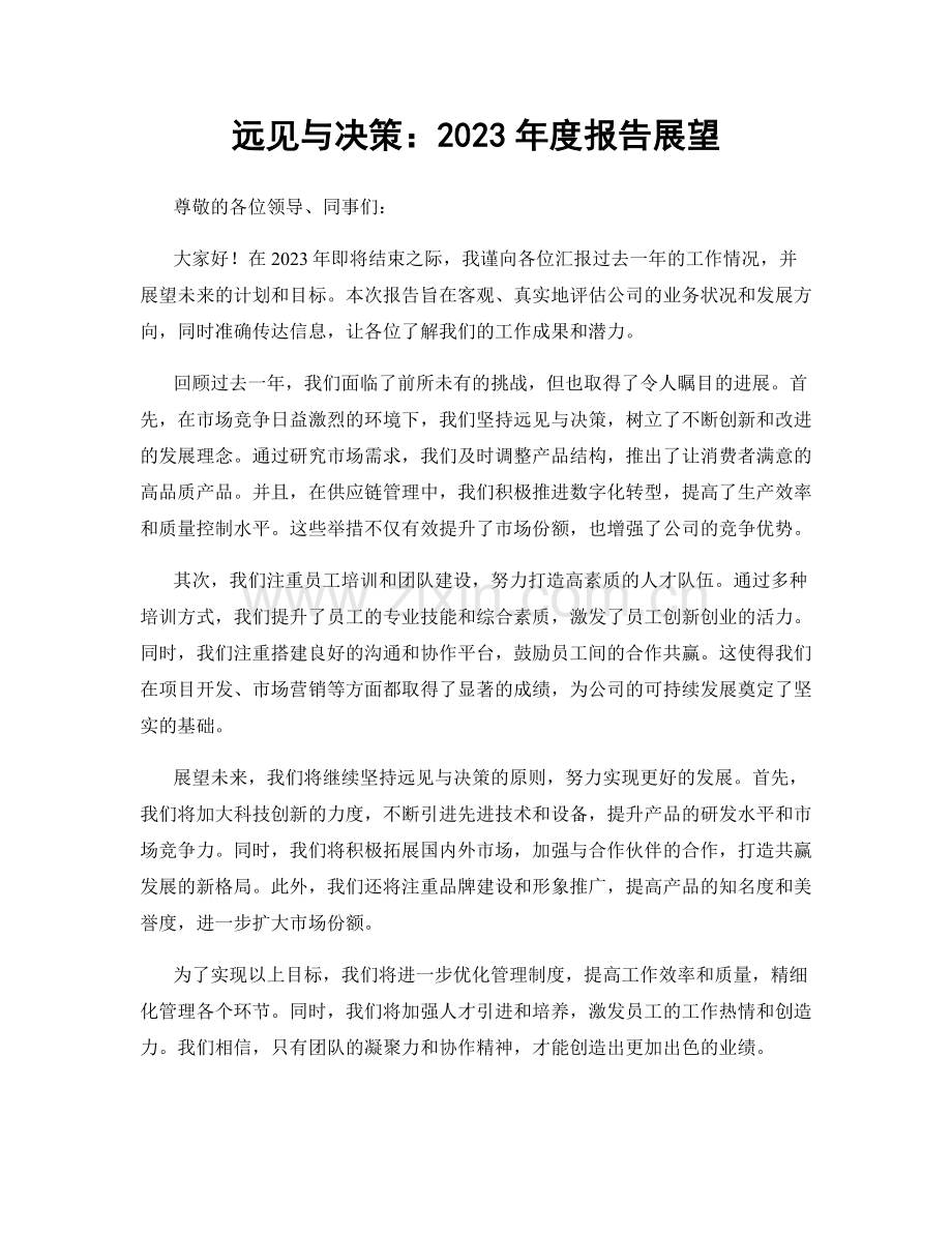 远见与决策：2023年度报告展望.docx_第1页