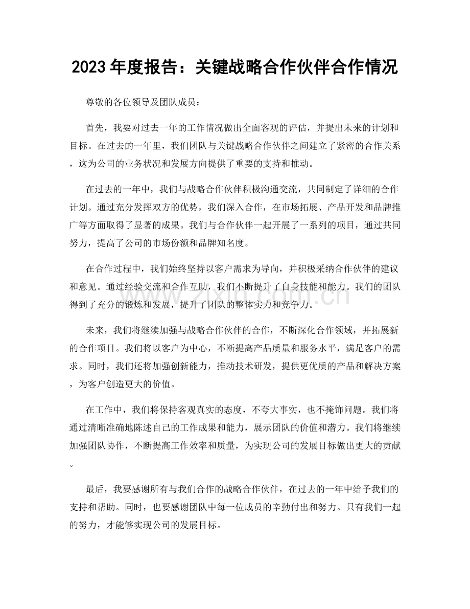 2023年度报告：关键战略合作伙伴合作情况.docx_第1页