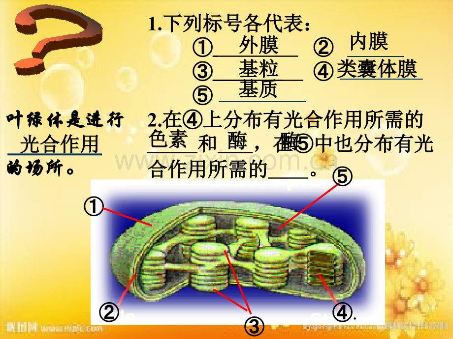 高中生物光合作用人教版必修一.ppt_第3页