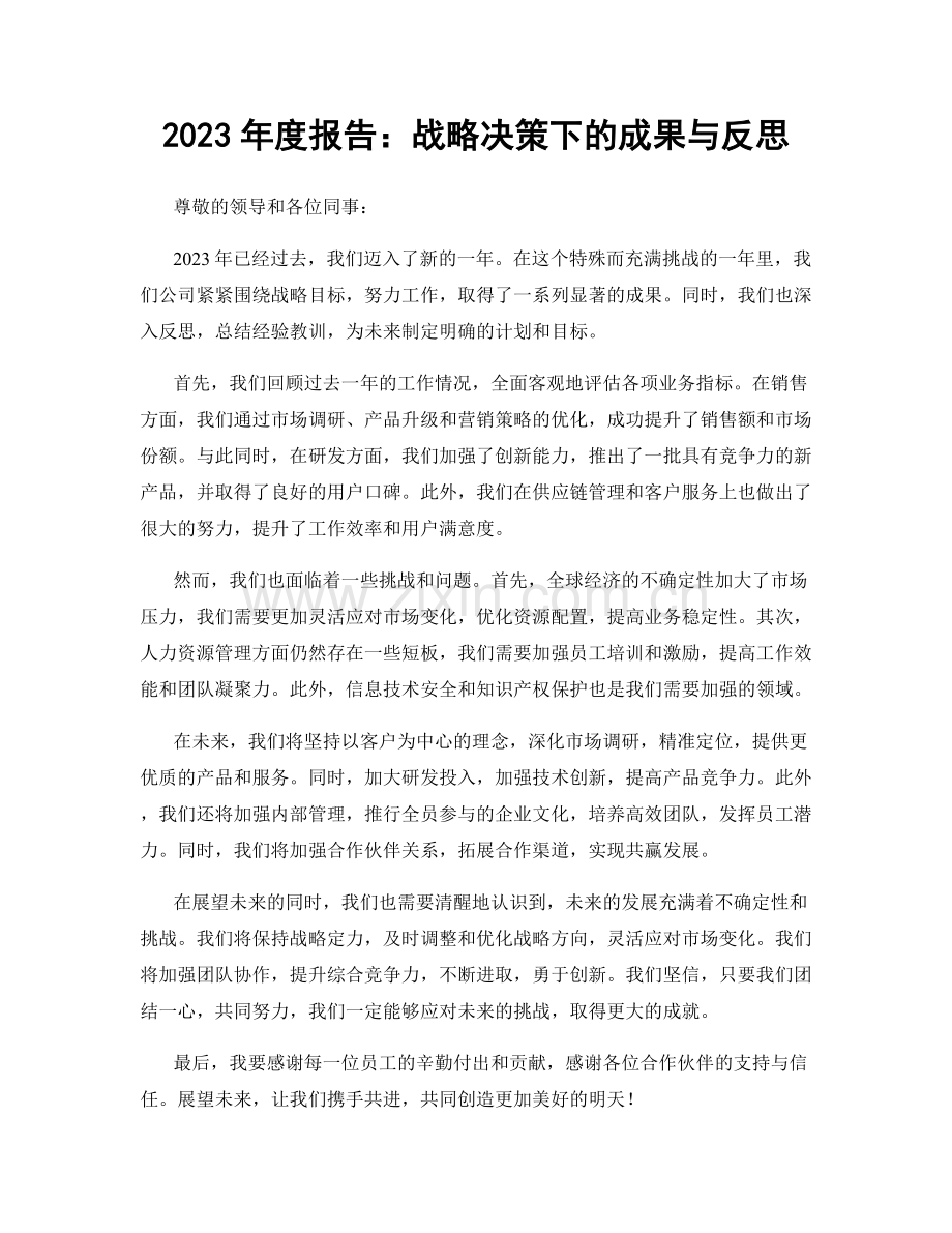 2023年度报告：战略决策下的成果与反思.docx_第1页