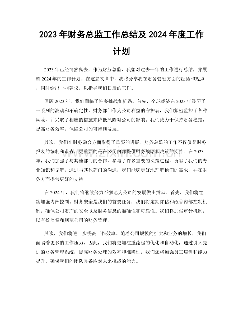 2023年财务总监工作总结及2024年度工作计划.docx_第1页