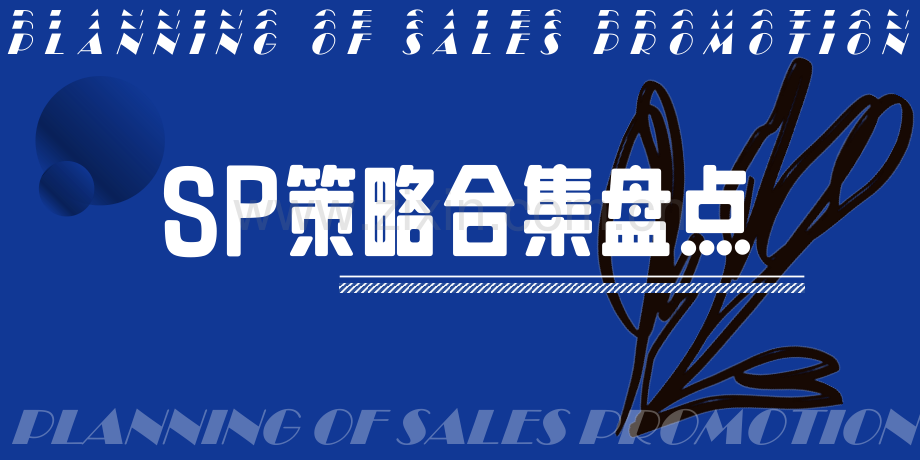 促销宣传策略合集盘点.pptx_第1页