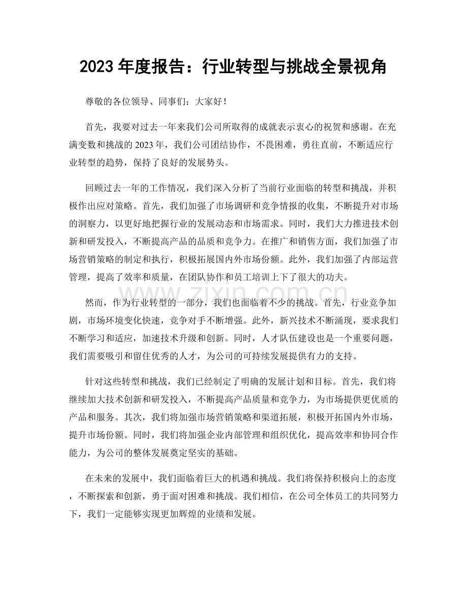 2023年度报告：行业转型与挑战全景视角.docx_第1页