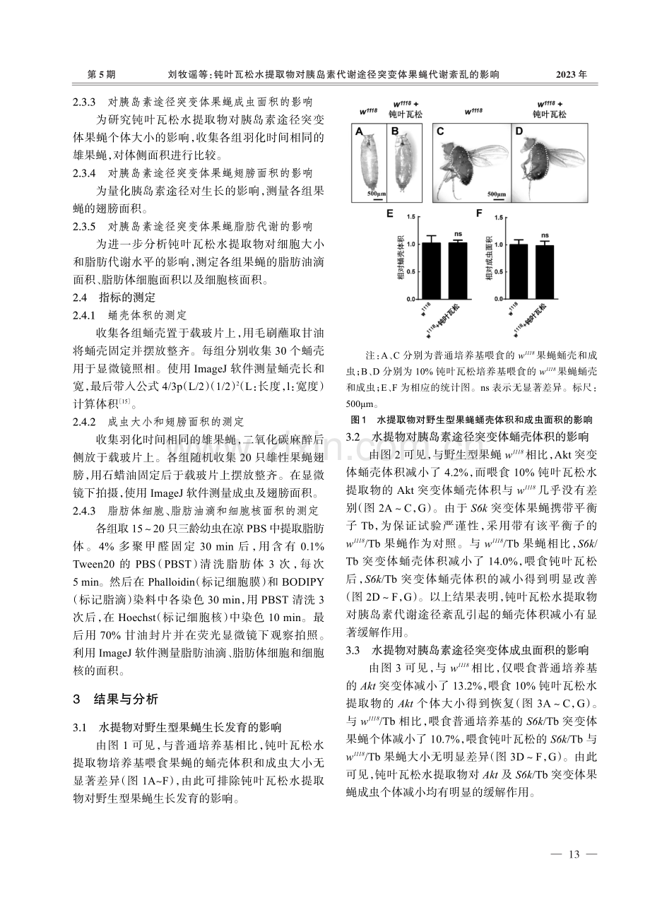 钝叶瓦松水提取物对胰岛素代谢途径突变体果蝇代谢紊乱的影响.pdf_第3页