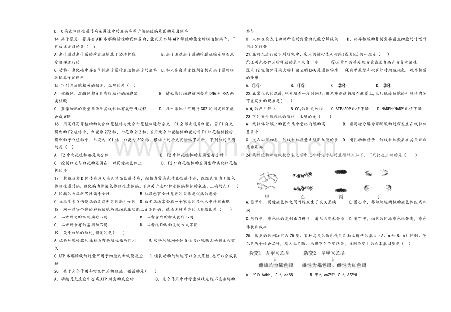 高三期中考试生物试题.doc_第2页