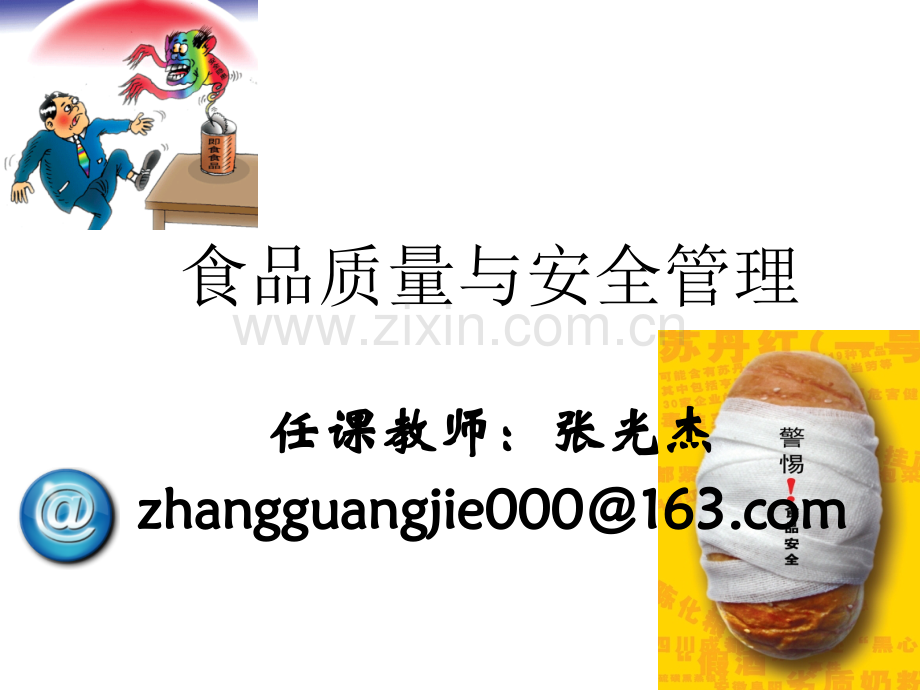 食品质量与安全管理概述.ppt_第1页