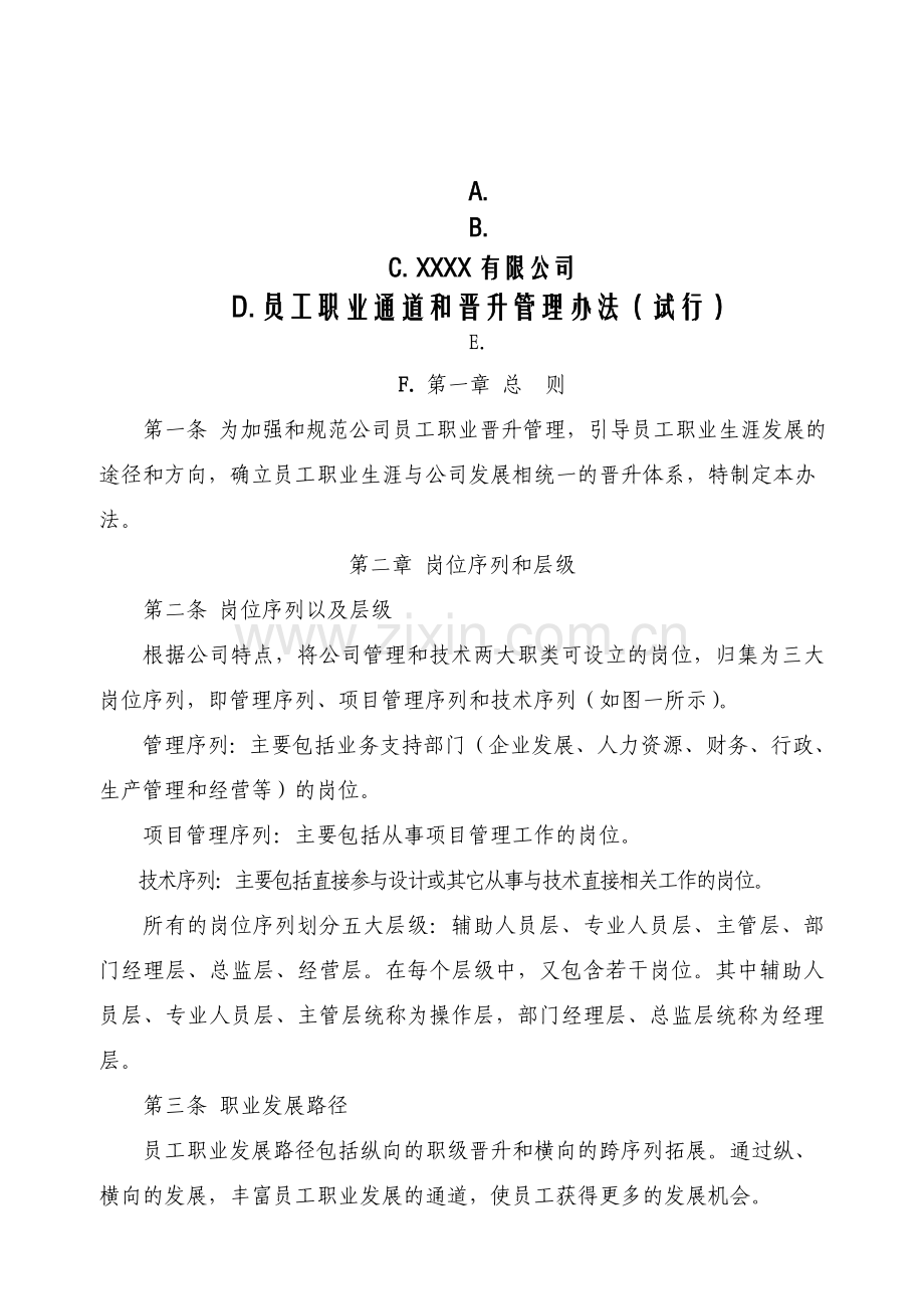 XXXX有限公司员工职业通道和晋升管理办法试行.doc_第1页