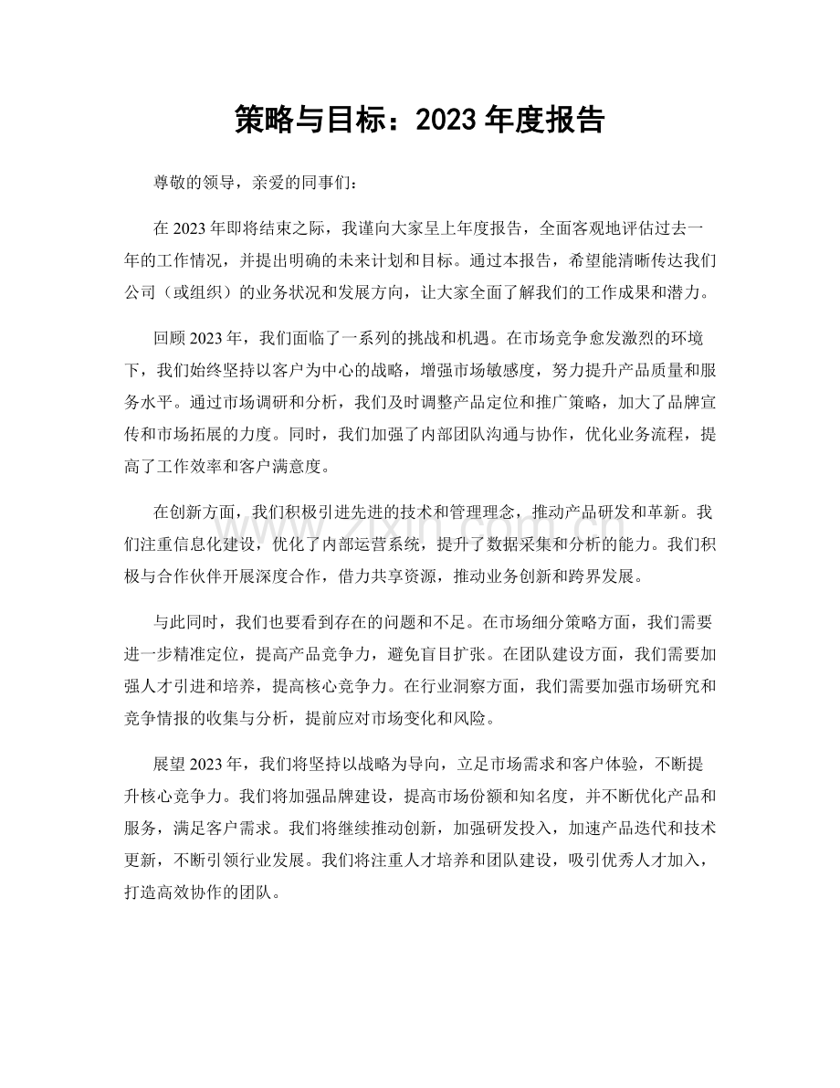 策略与目标：2023年度报告.docx_第1页