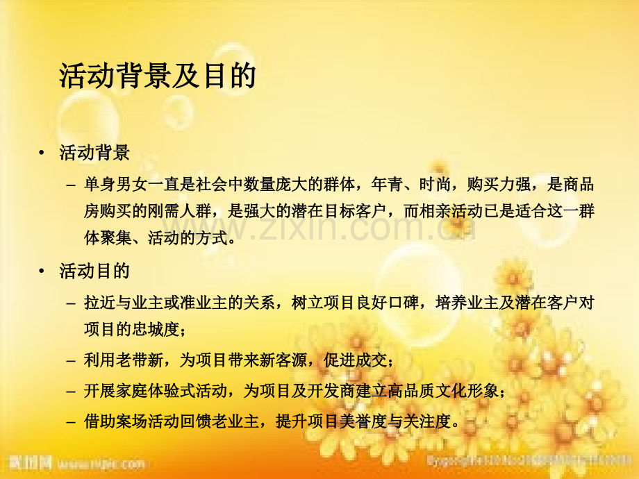 大型相亲交友活动策划.ppt_第3页