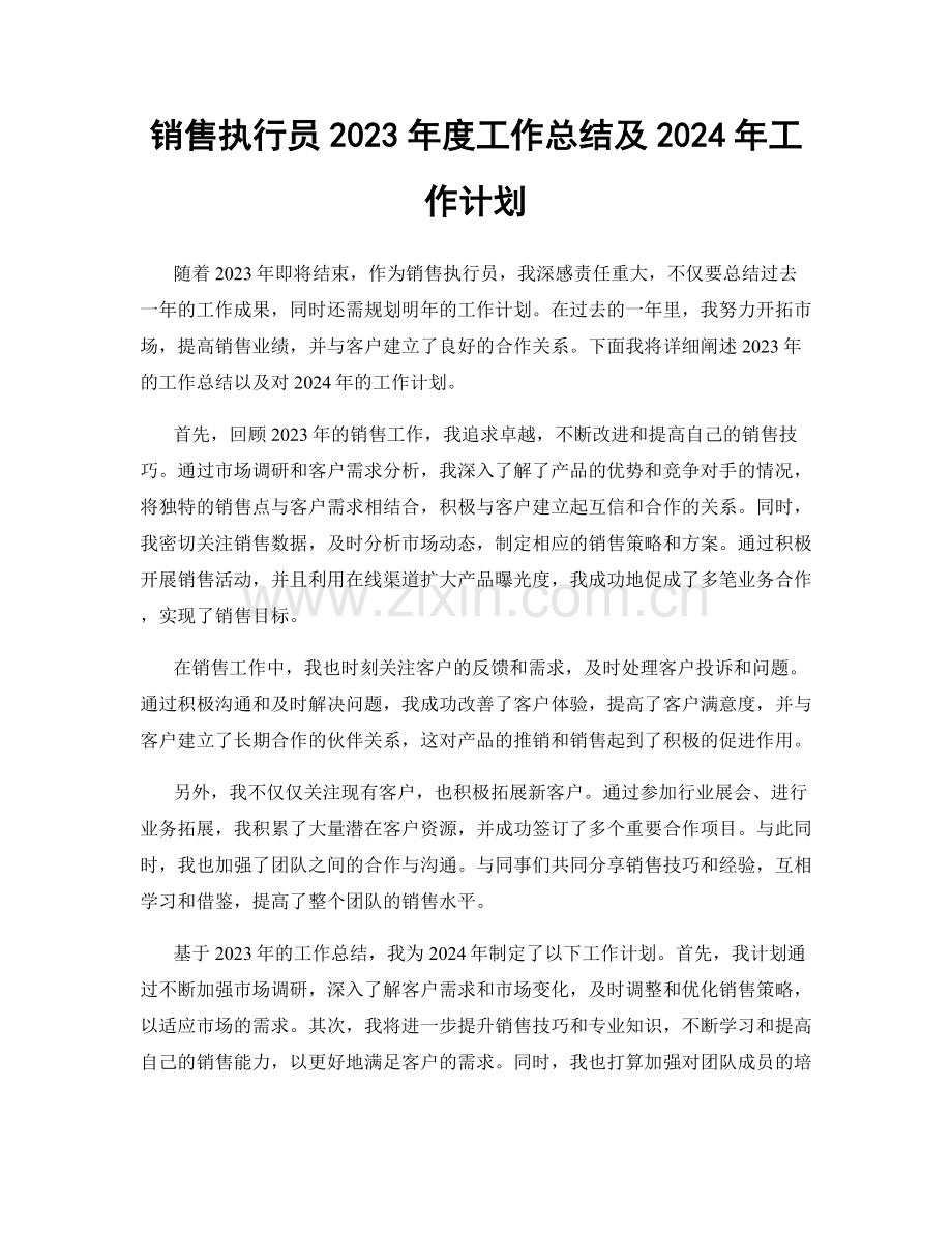 销售执行员2023年度工作总结及2024年工作计划.docx_第1页