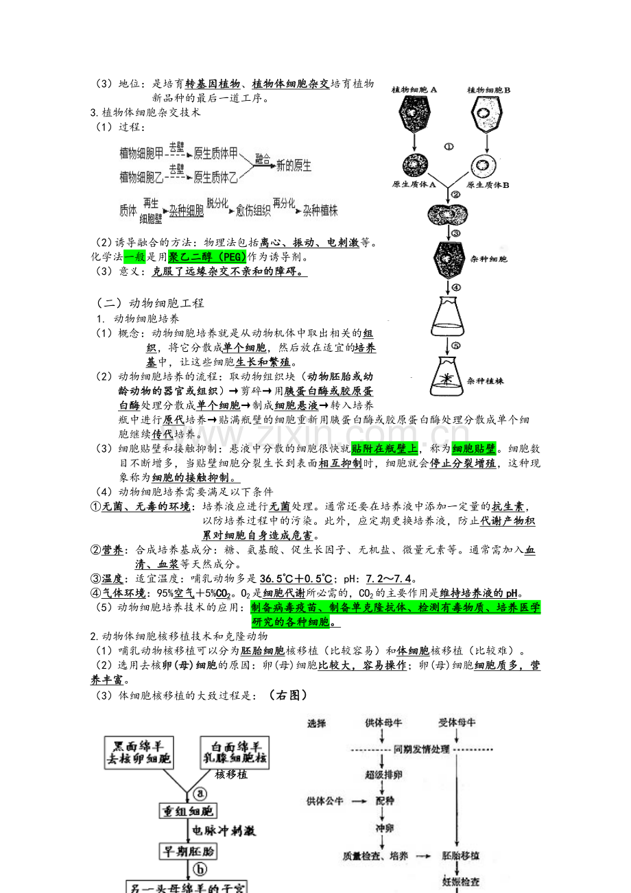 高二生物知识点总结.doc_第3页