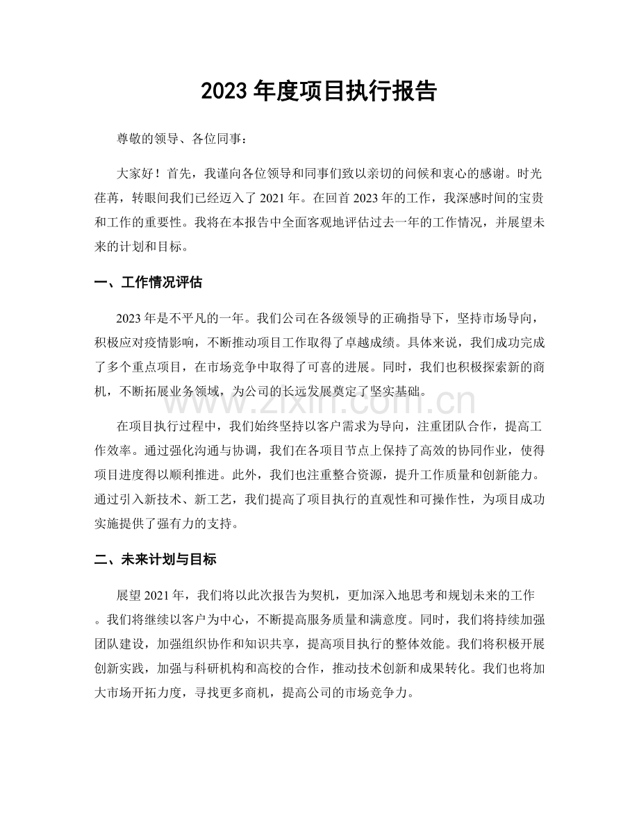 2023年度项目执行报告.docx_第1页