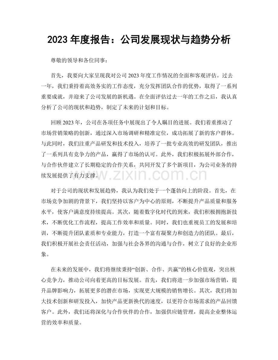 2023年度报告：公司发展现状与趋势分析.docx_第1页