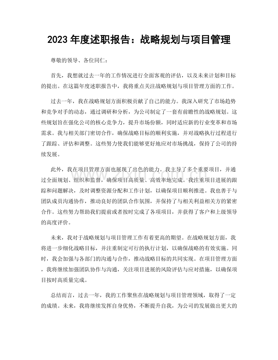 2023年度述职报告：战略规划与项目管理.docx_第1页