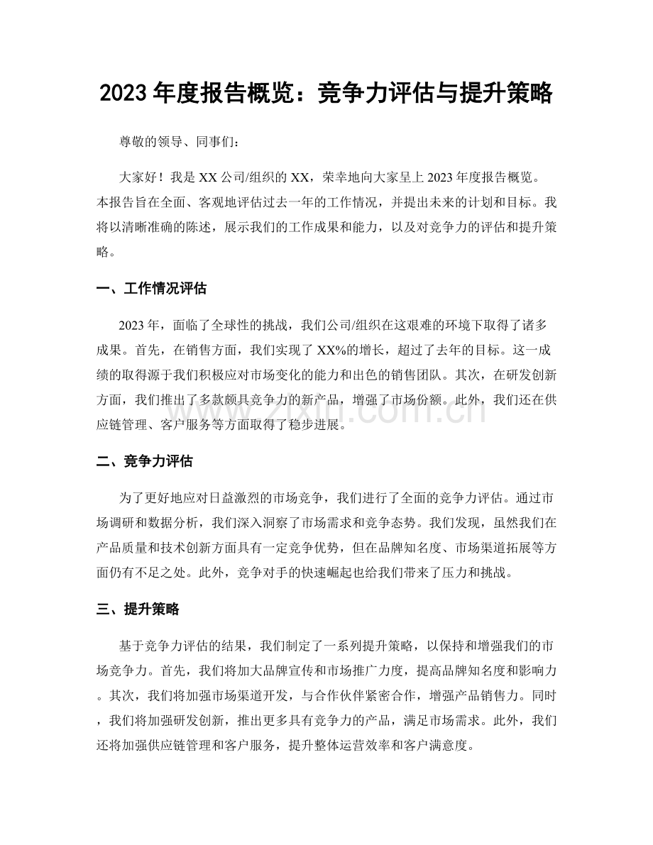 2023年度报告概览：竞争力评估与提升策略.docx_第1页