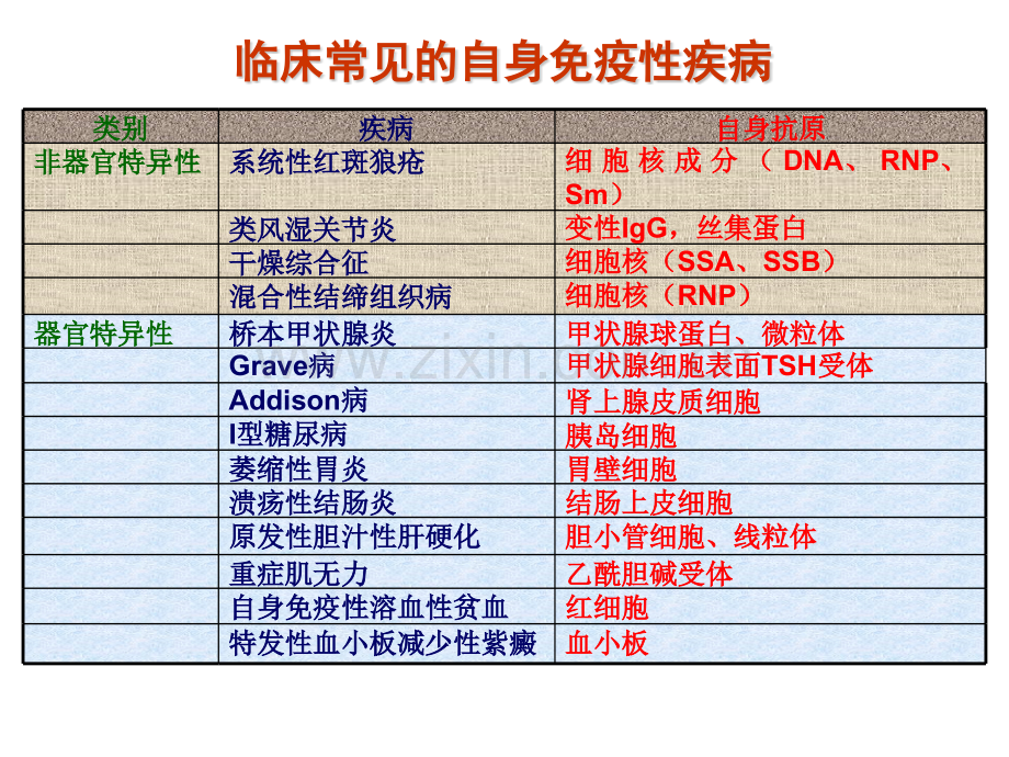 ANA谱化验单解读全解.pptx_第3页