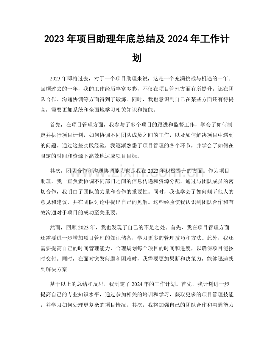 2023年项目助理年底总结及2024年工作计划.docx_第1页