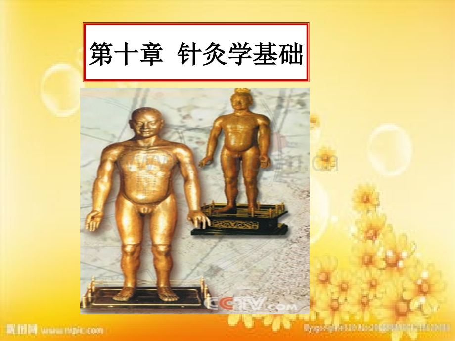 针灸学(第七版).ppt_第1页