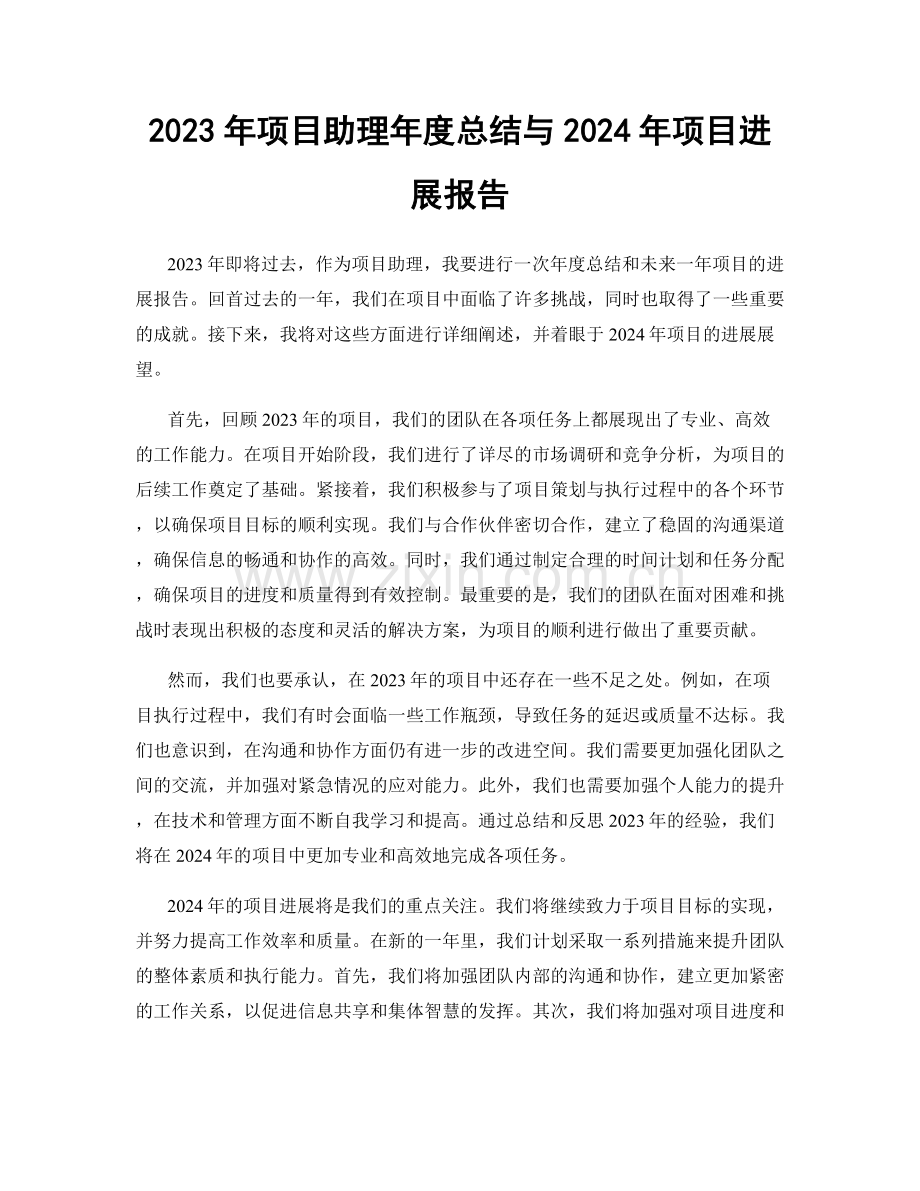 2023年项目助理年度总结与2024年项目进展报告.docx_第1页