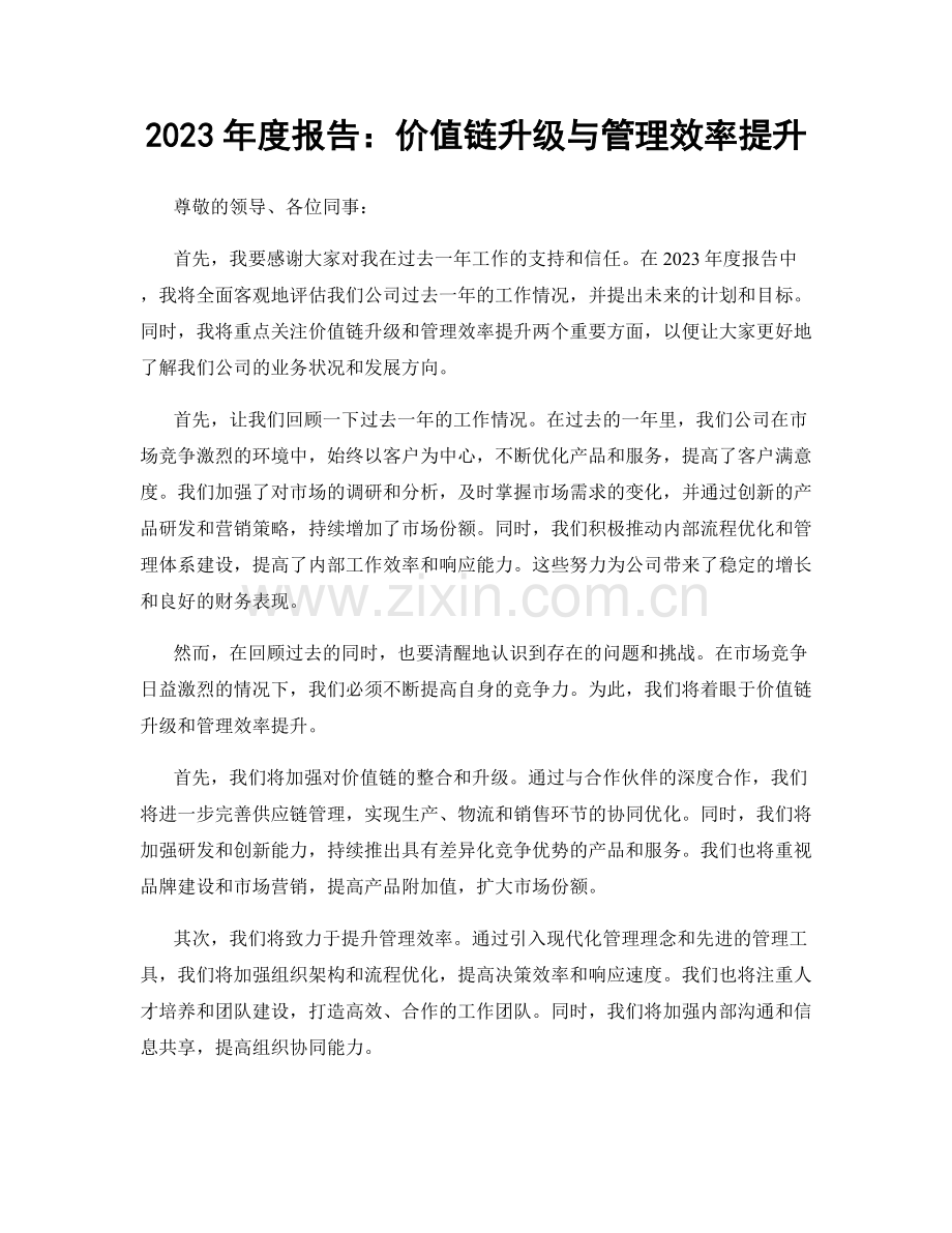 2023年度报告：价值链升级与管理效率提升.docx_第1页