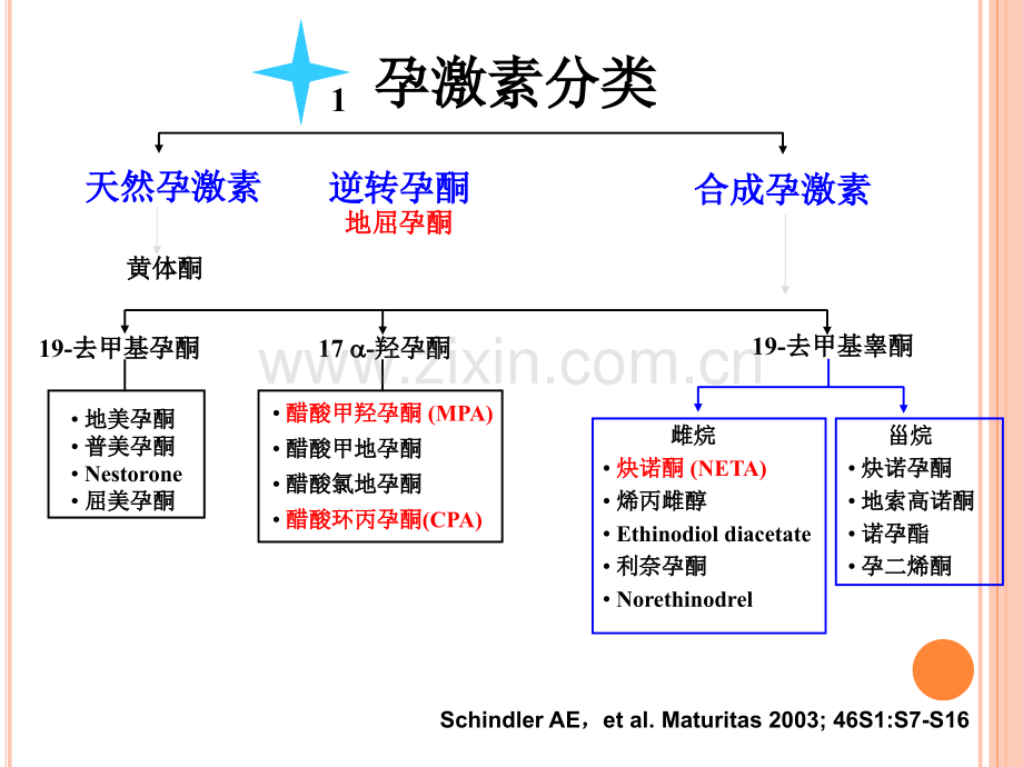 孕激素与成功妊娠的维持.pptx_第3页