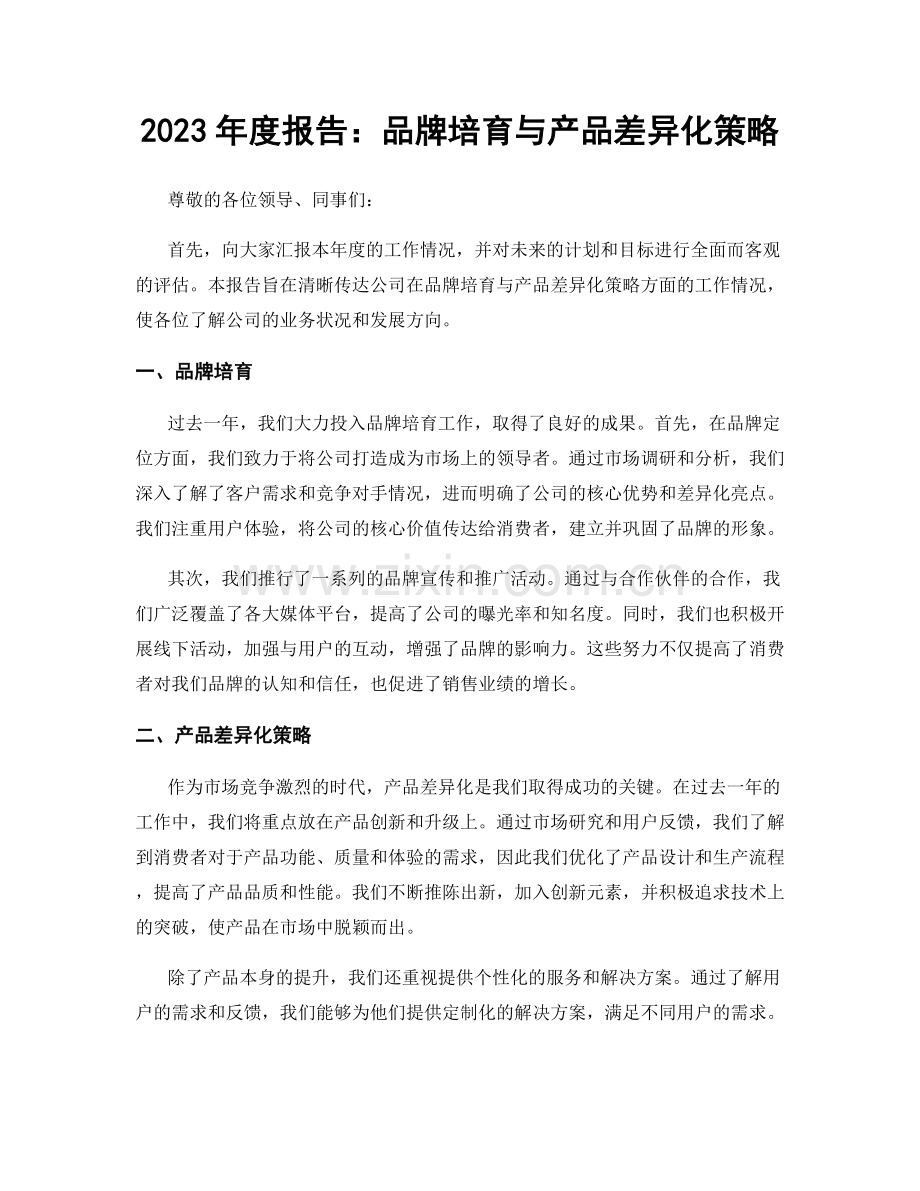 2023年度报告：品牌培育与产品差异化策略.docx_第1页