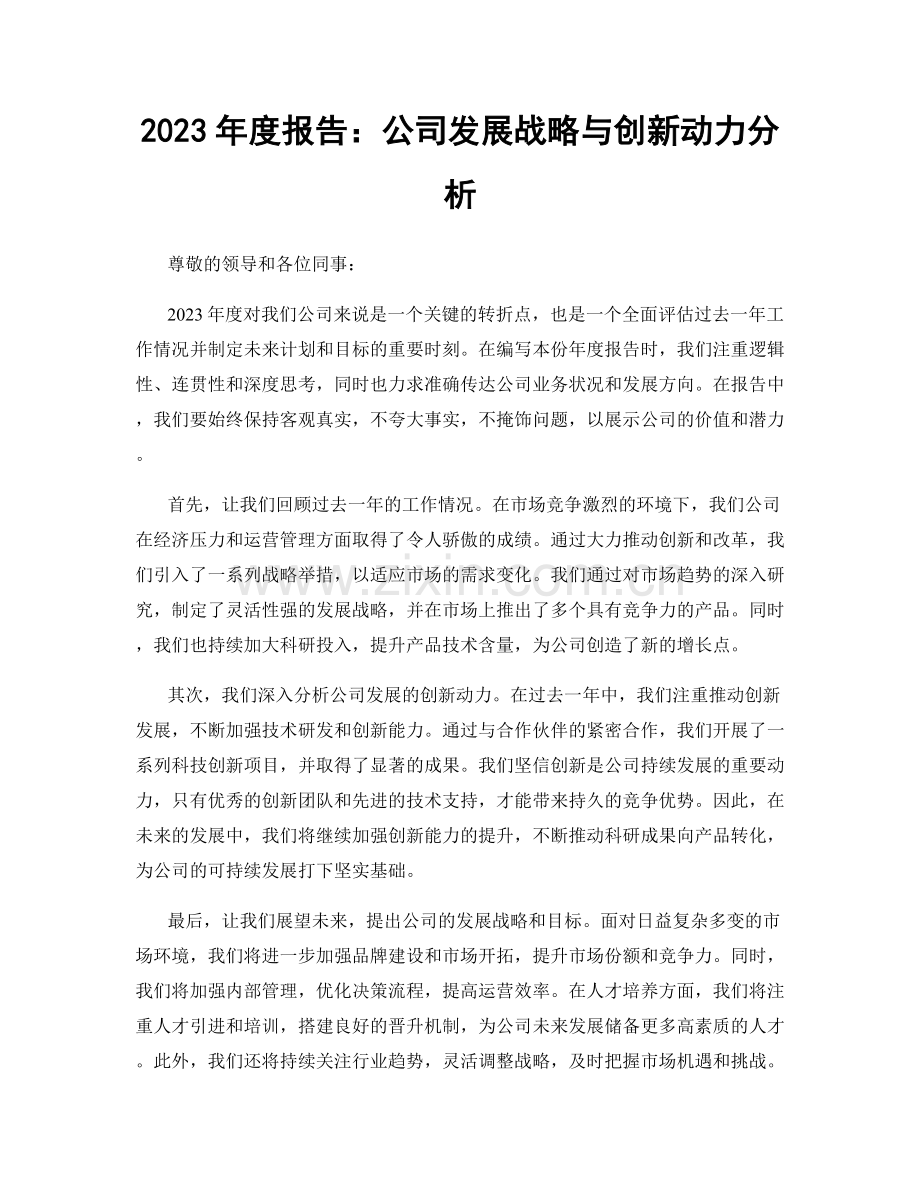 2023年度报告：公司发展战略与创新动力分析.docx_第1页