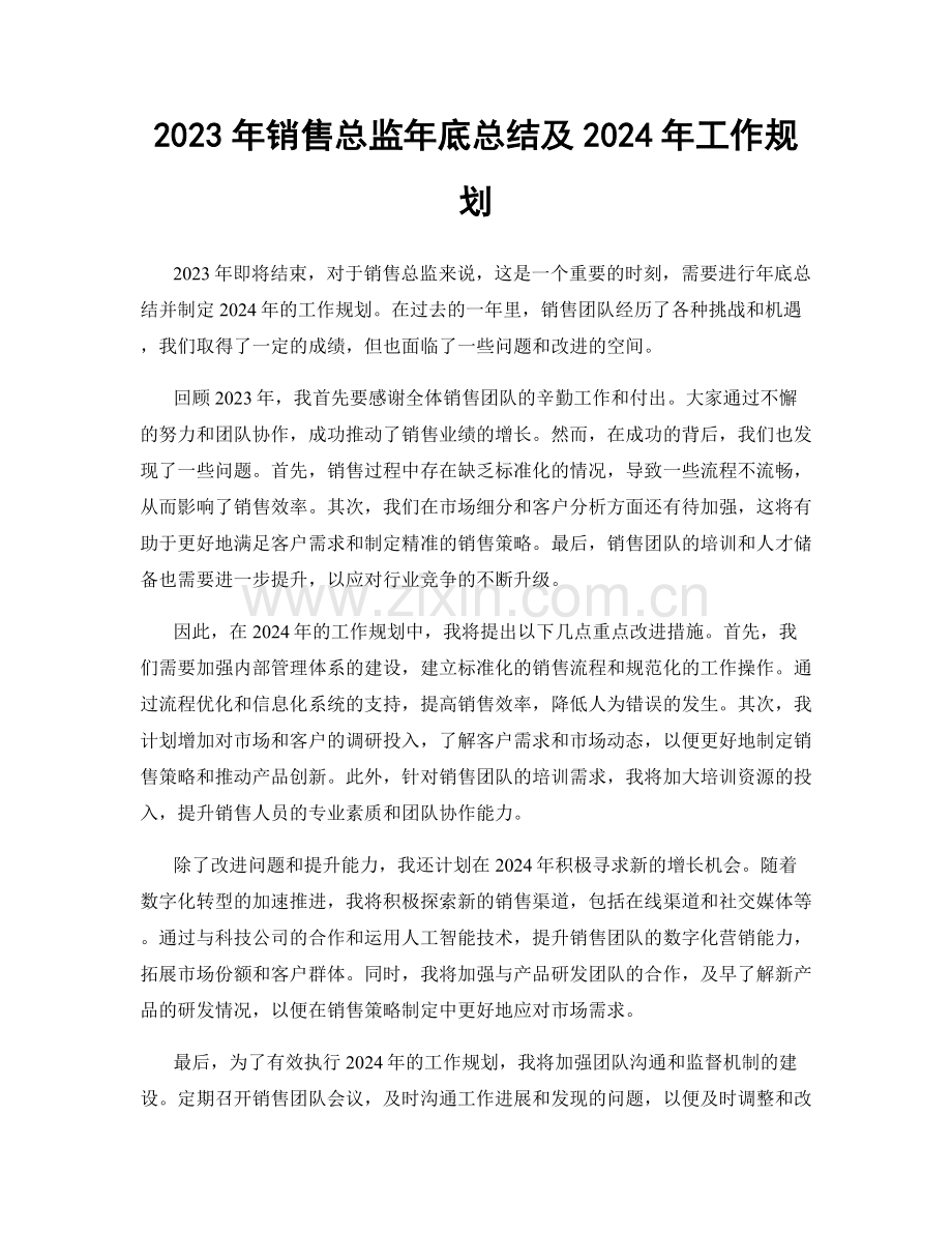 2023年销售总监年底总结及2024年工作规划.docx_第1页