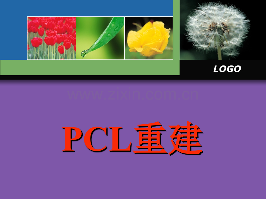 后交叉韧带pcl重建科里讲课.pptx_第1页