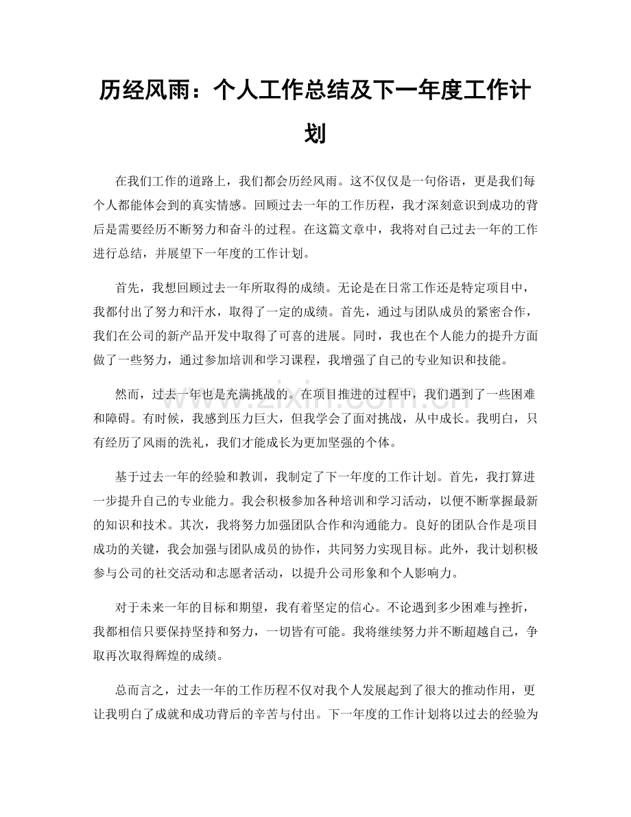 历经风雨：个人工作总结及下一年度工作计划.docx_第1页