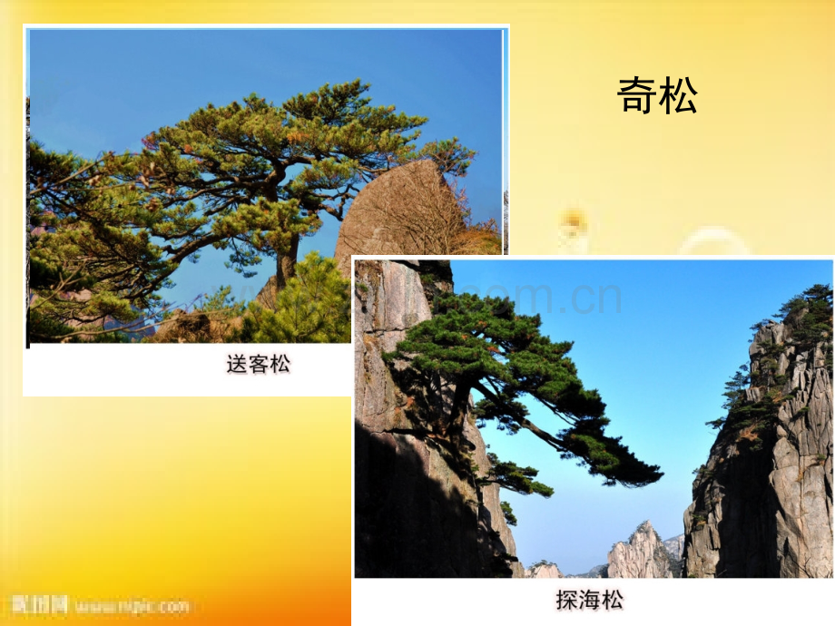 部编二年级上册-《黄山奇石》-PPT.ppt_第3页