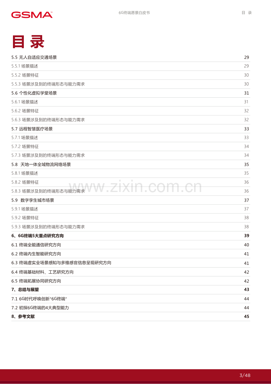 2024年6G终端愿景白皮书.pdf_第3页