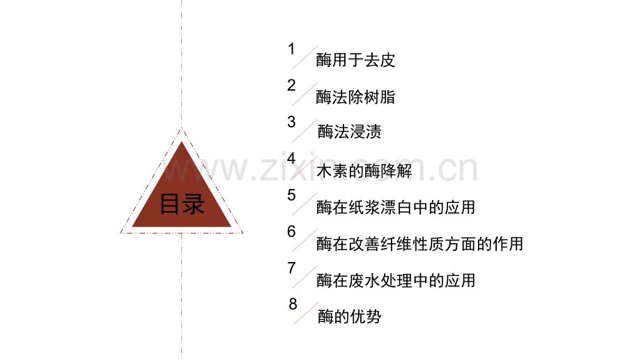 酶在造纸中的应用.ppt_第3页