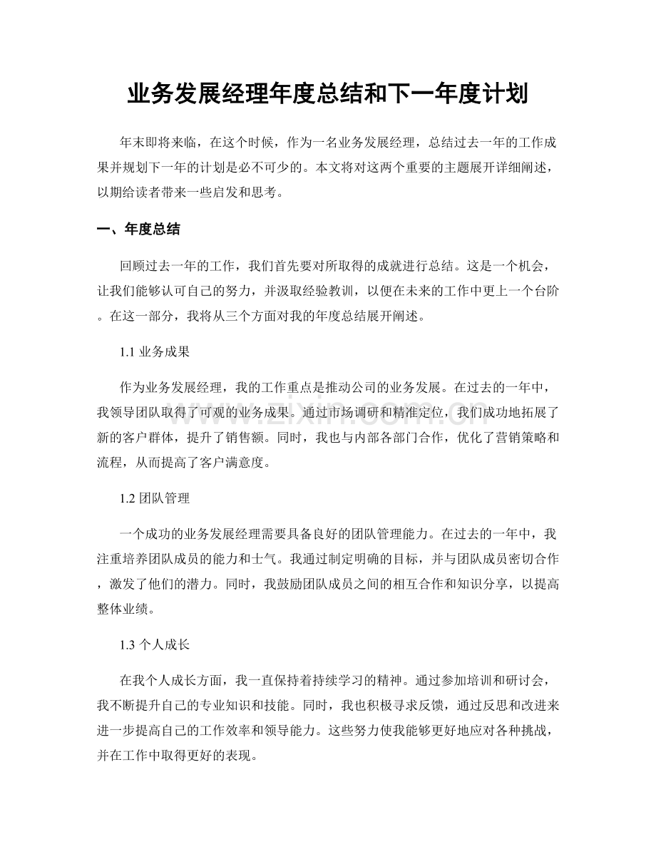 业务发展经理年度总结和下一年度计划.docx_第1页