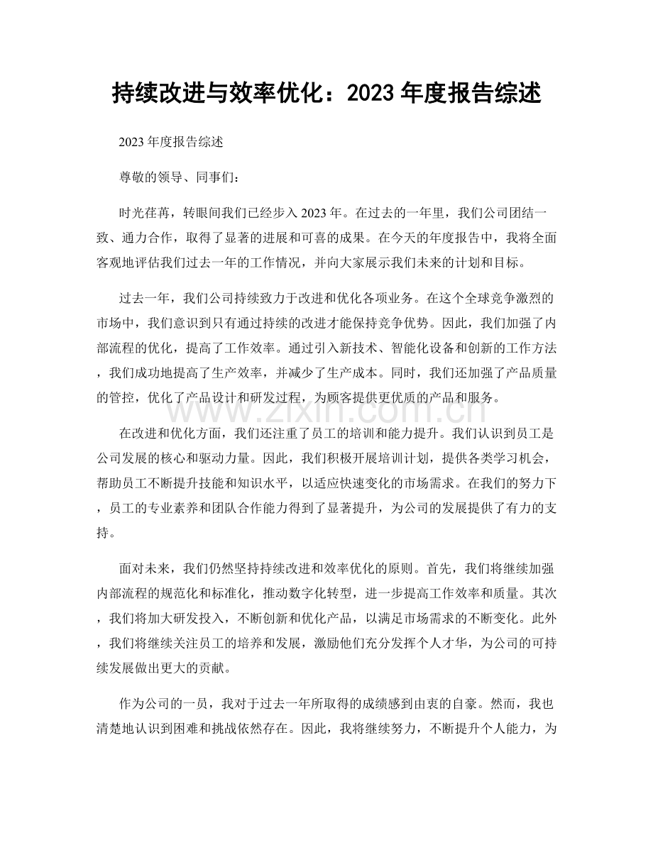 持续改进与效率优化：2023年度报告综述.docx_第1页