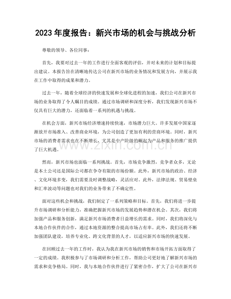 2023年度报告：新兴市场的机会与挑战分析.docx_第1页