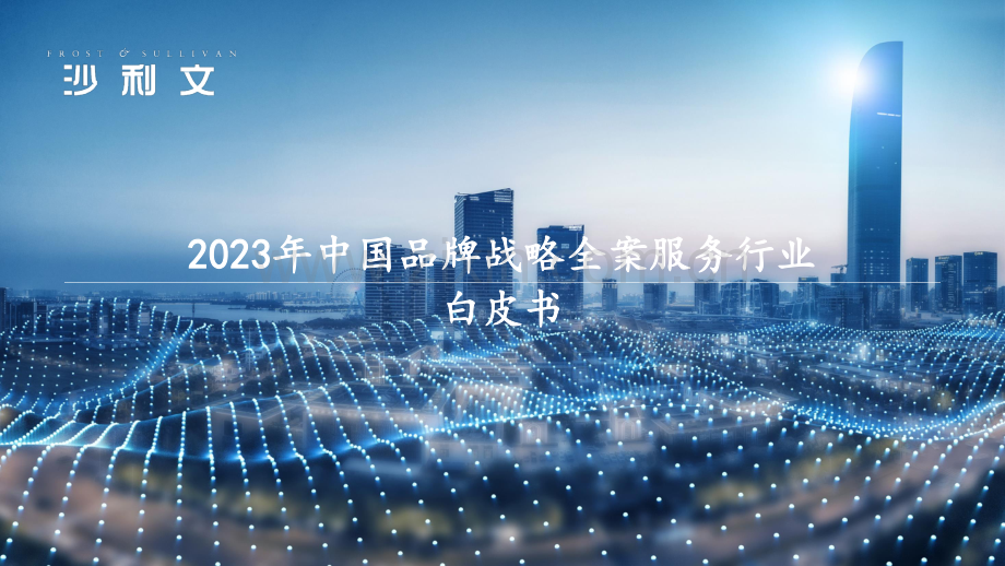 2023年中国品牌战略全案服务行业研究报告.pdf_第1页