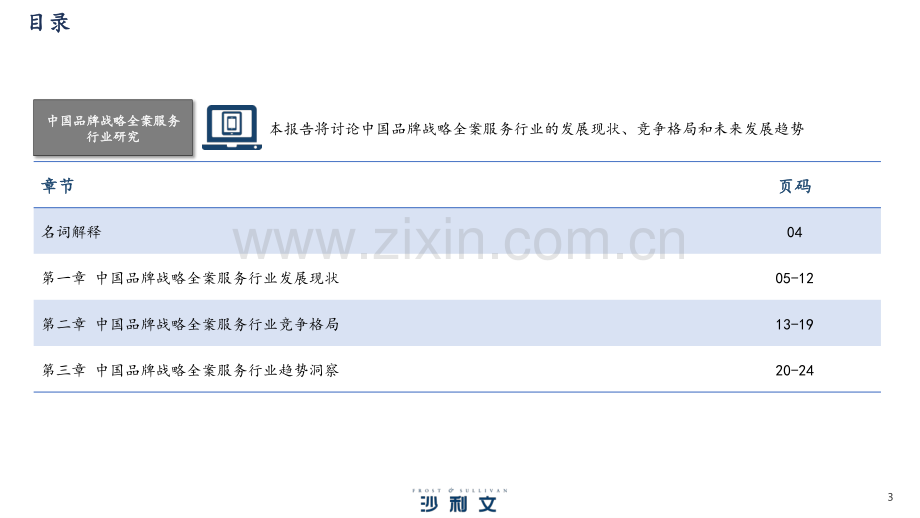 2023年中国品牌战略全案服务行业研究报告.pdf_第3页