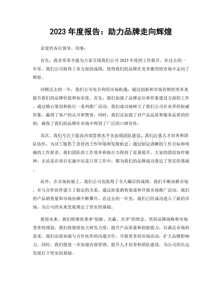 2023年度报告：助力品牌走向辉煌.docx_第1页